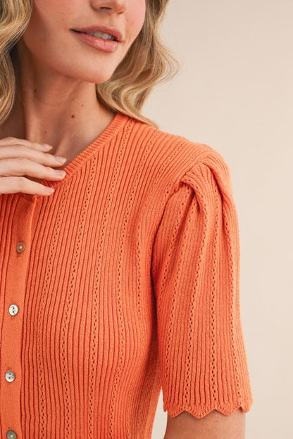 The Ivy Top